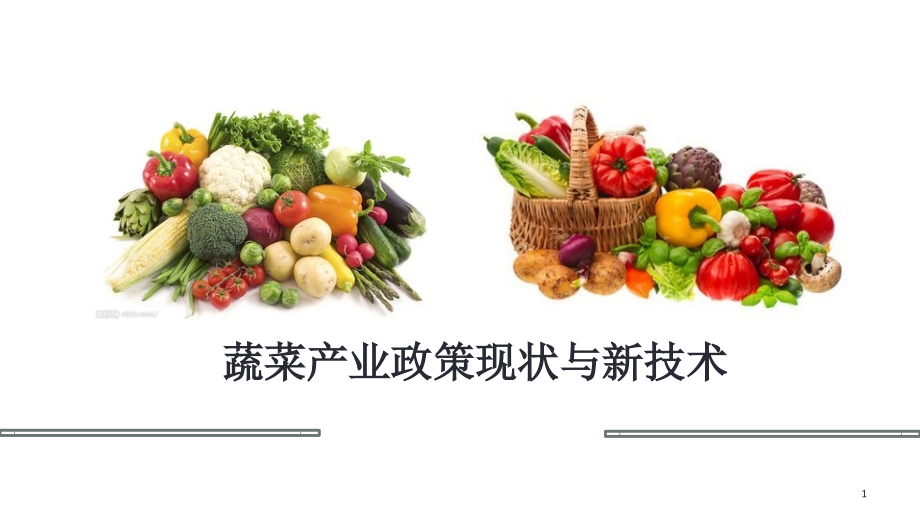 蔬菜产业政策与新技术.ppt_第1页