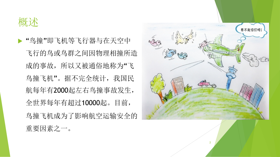 浅谈鸟撞飞机的生物防治方法演示课件.ppt_第2页