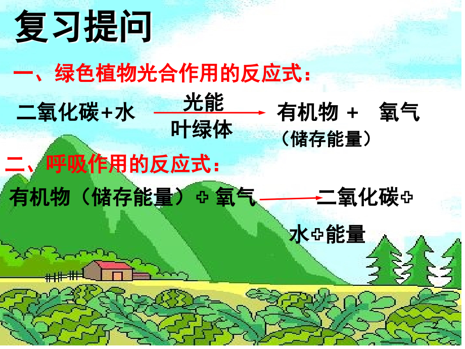 济南版微生物在生物圈中的作用(课堂PPT).ppt_第2页