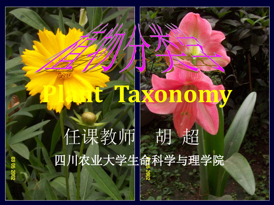 经典植物分类学.ppt_第1页