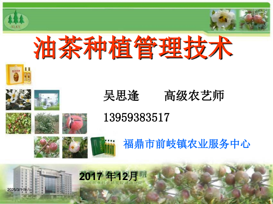 油茶种植与抚育管理技术(课堂PPT).ppt_第1页