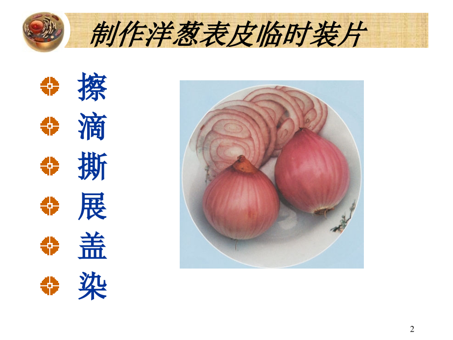 观察动物细胞(课堂PPT).ppt_第2页