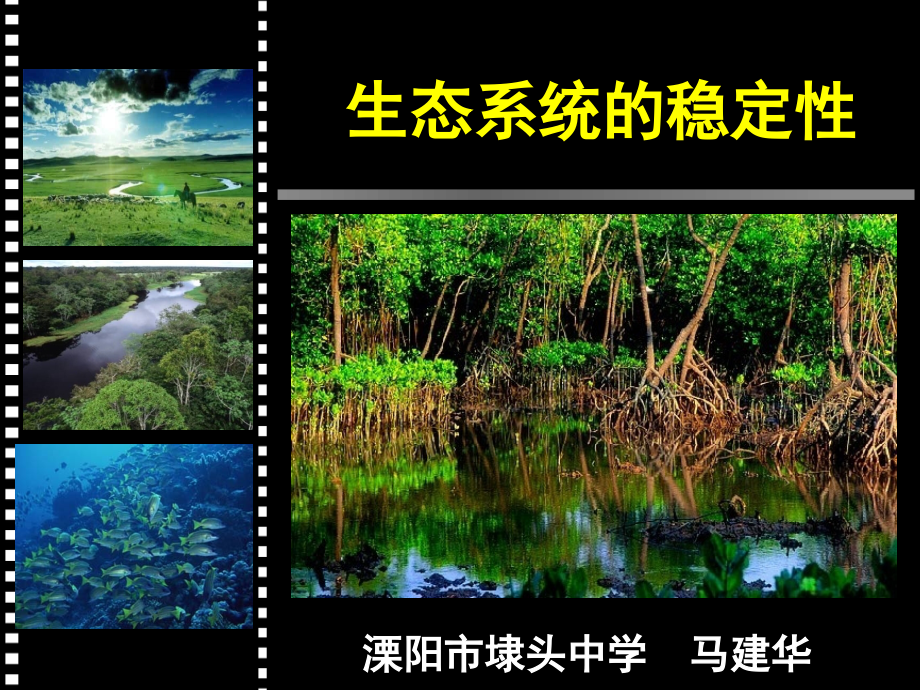 生态系统的稳定性公开课(课堂PPT).ppt_第2页