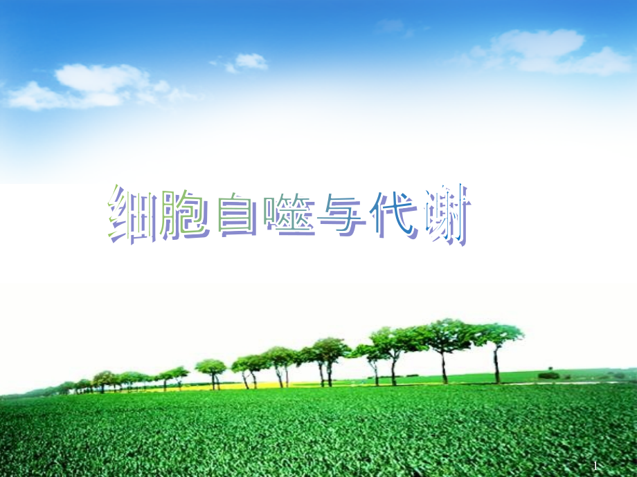 细胞自噬与代谢课件.ppt_第1页