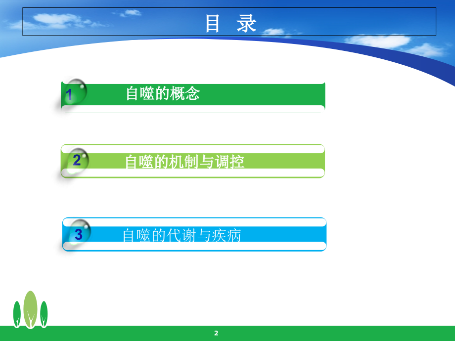 细胞自噬与代谢课件.ppt_第2页