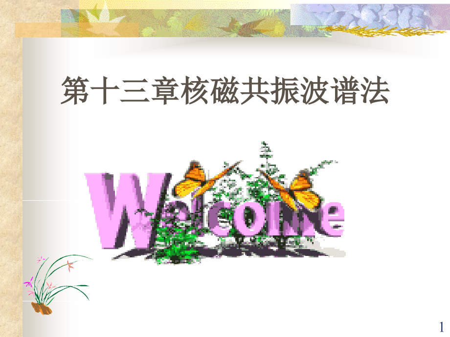 第十三章核磁共振波谱法幻灯片.ppt_第1页