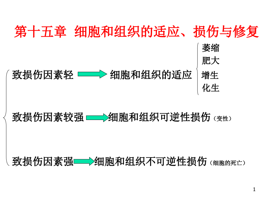 细胞和组织的适应、损伤与修复(课堂PPT).ppt_第1页