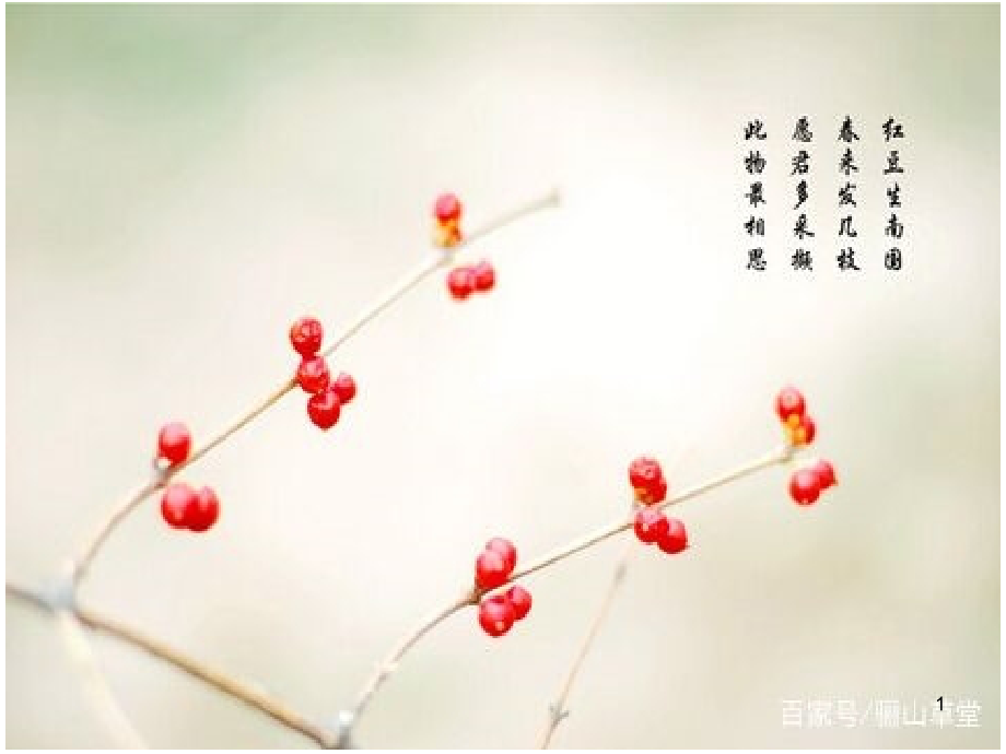 灯如红豆初中语文中考阅读(课堂PPT).ppt_第1页