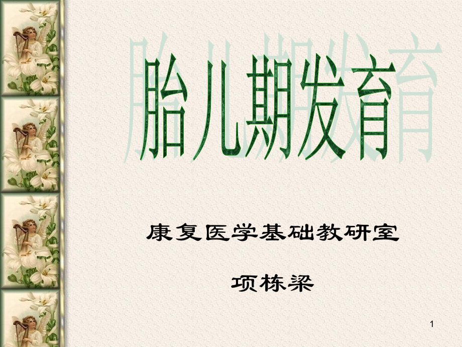 第二章--胎儿期发育PPT参考课件.ppt_第1页