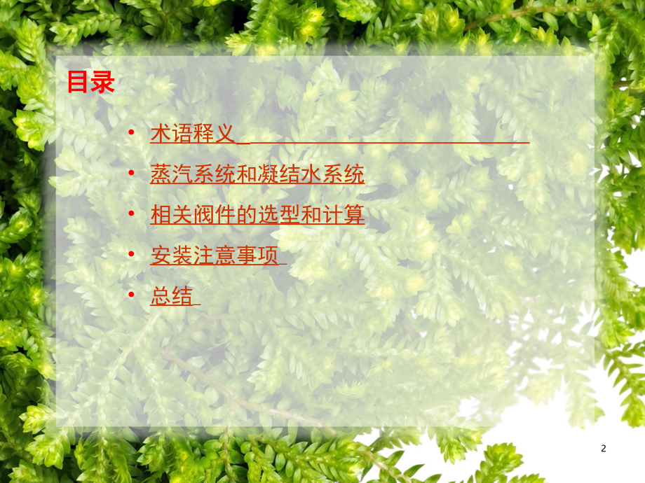 蒸汽系统说明演示幻灯片.ppt_第2页