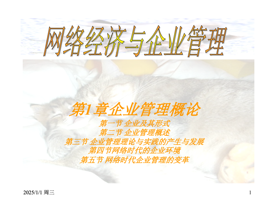 网络经济与企业管理(课堂PPT).ppt_第1页