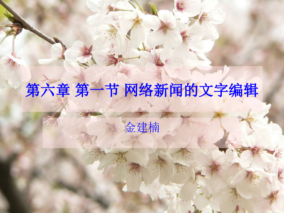 网络编辑实务-文档资料.ppt_第1页