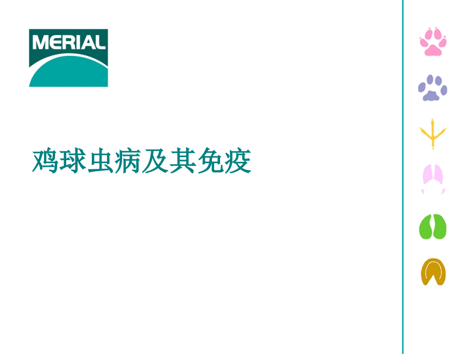 球虫病及其免疫.ppt_第1页