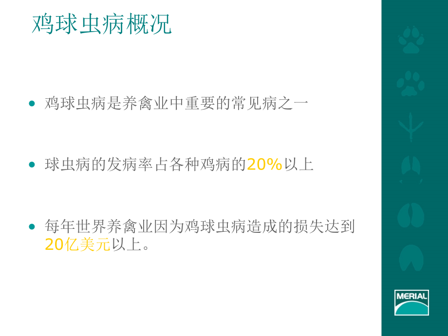 球虫病及其免疫.ppt_第2页