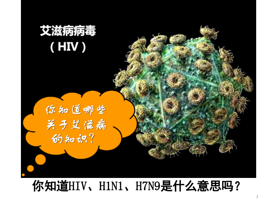 病毒(新人教版)(课堂PPT).ppt_第1页