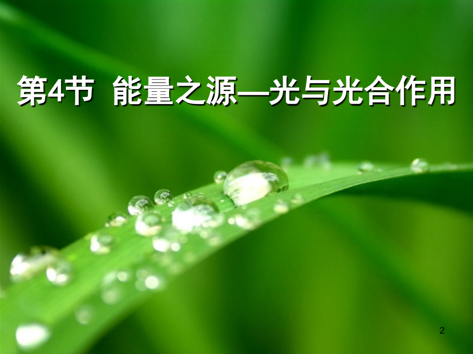 能量之源光与光合作用PPT课件.ppt_第2页