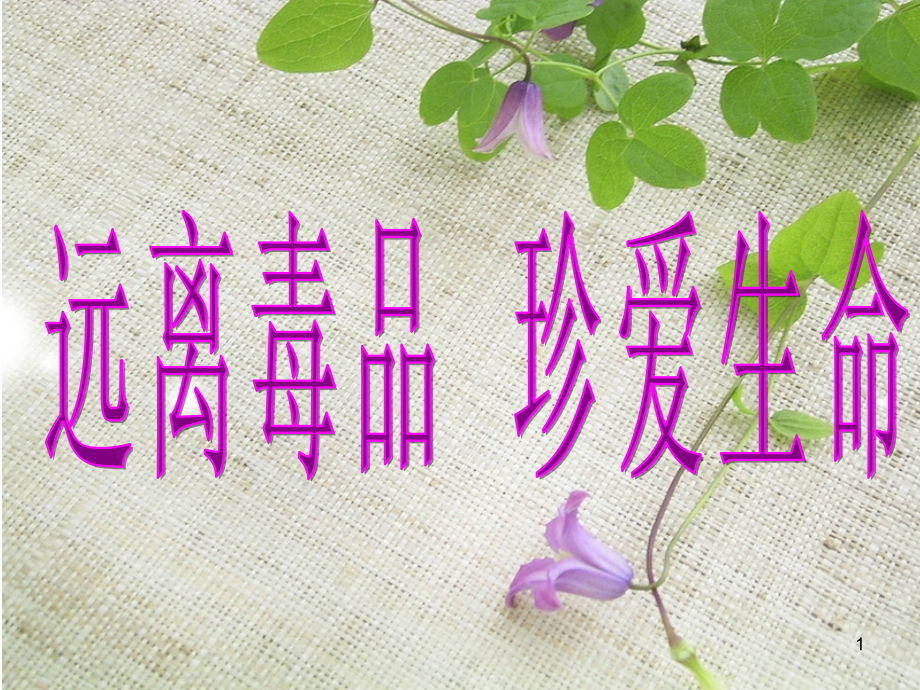 珍惜生命--远离毒品.ppt.ppt_第1页