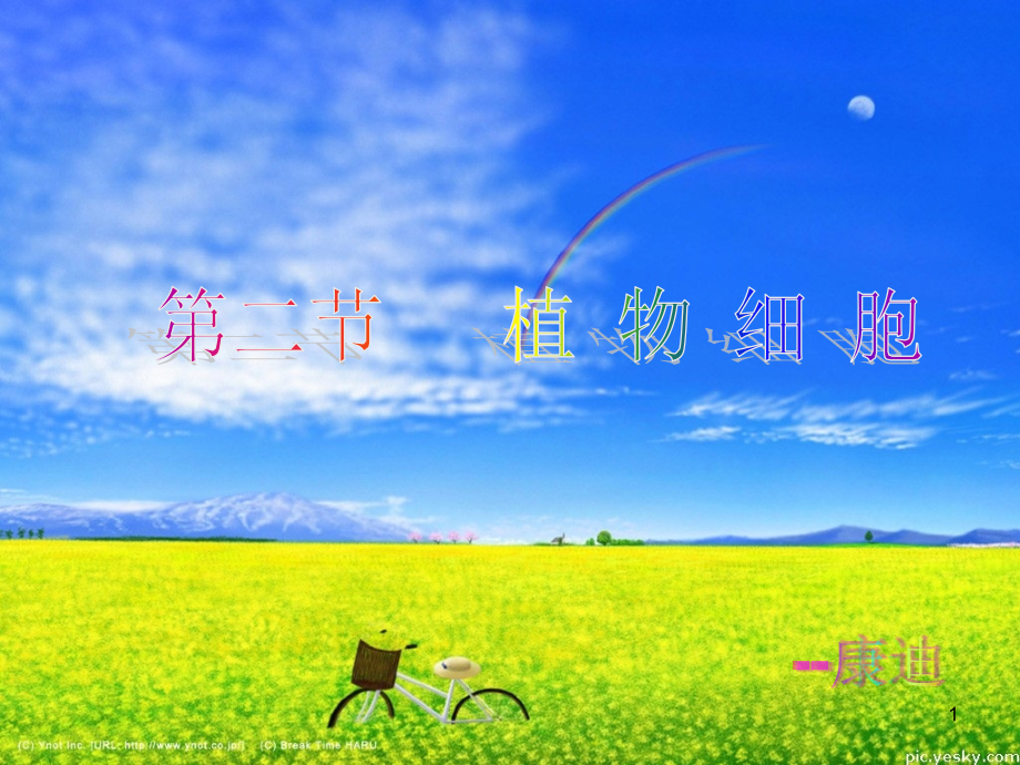 植物细胞PPT.ppt_第1页