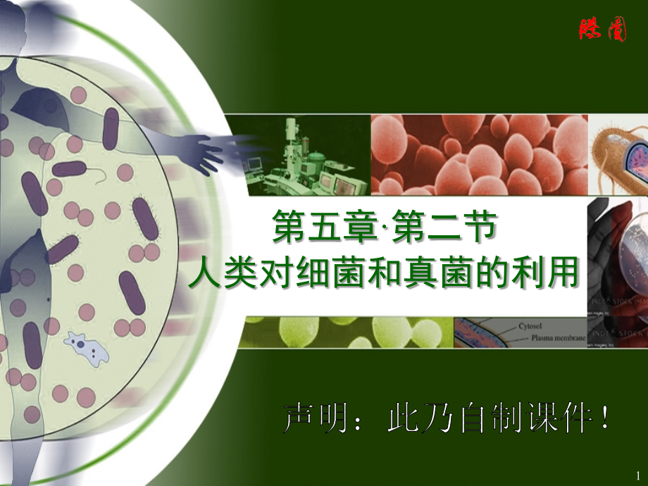 幻灯片-八上生物-第五章·第二节：《人类对细菌和真菌的利用》课件.ppt_第1页