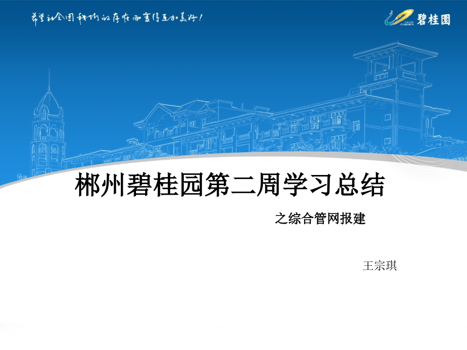 综合管网图审.pptx_第1页