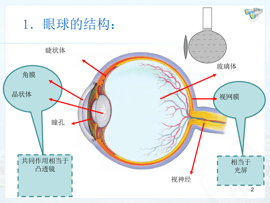 眼睛和眼镜课件PPT.ppt_第2页