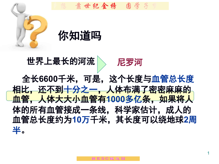 血流的管道演示幻灯片.ppt_第1页