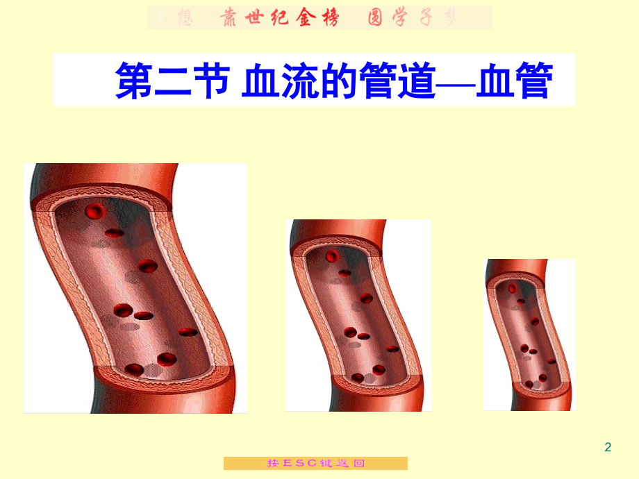 血流的管道演示幻灯片.ppt_第2页