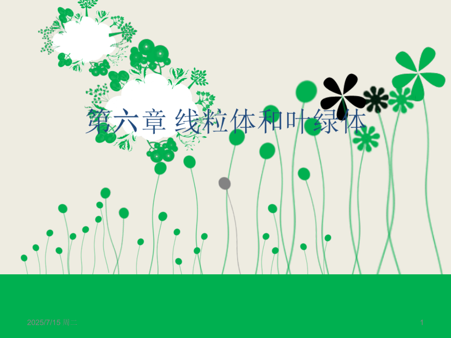 细胞生物学-线粒体和叶绿体PPT参考课件.ppt_第1页