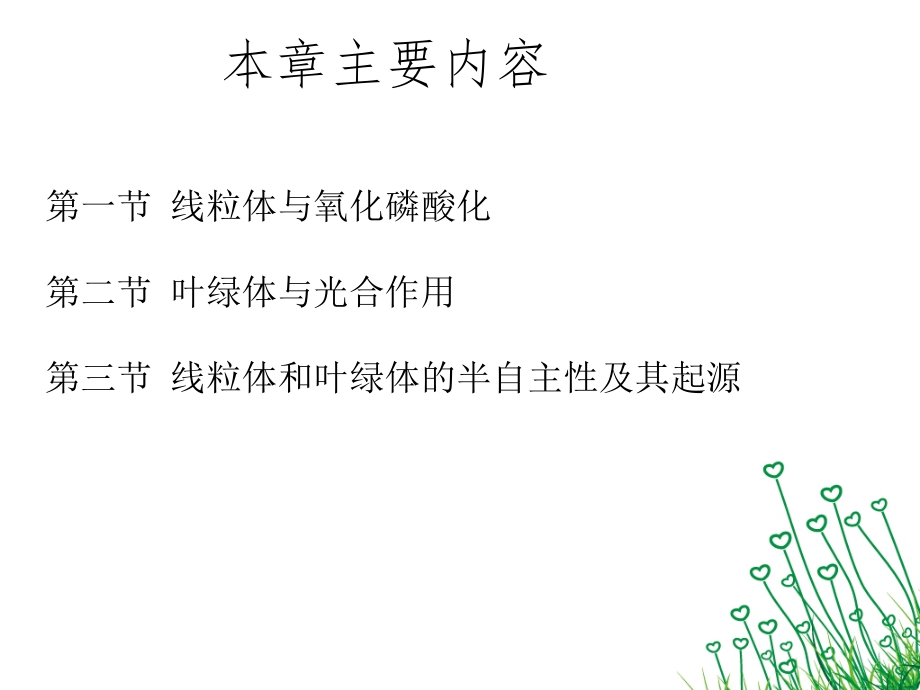细胞生物学-线粒体和叶绿体PPT参考课件.ppt_第2页