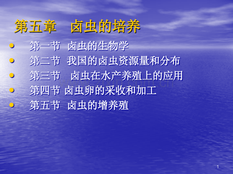 第五章卤虫的培养.ppt_第1页