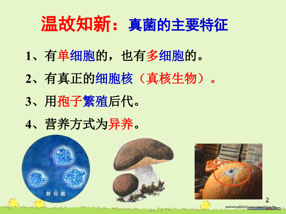 第四节细菌和真菌自然界中的作用.ppt_第2页