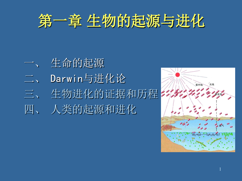 生命科学导论生物的起源与进化.ppt_第1页