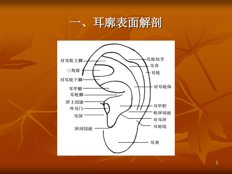 耳穴压豆PPT参考课件.ppt_第2页