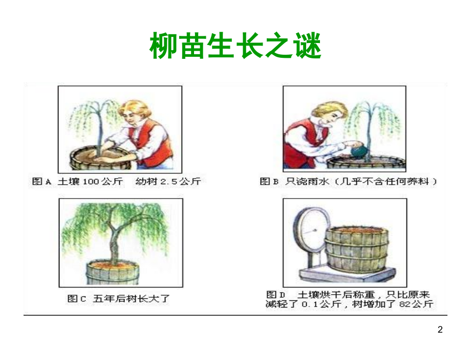 根对水分的吸收(课堂PPT).ppt_第2页