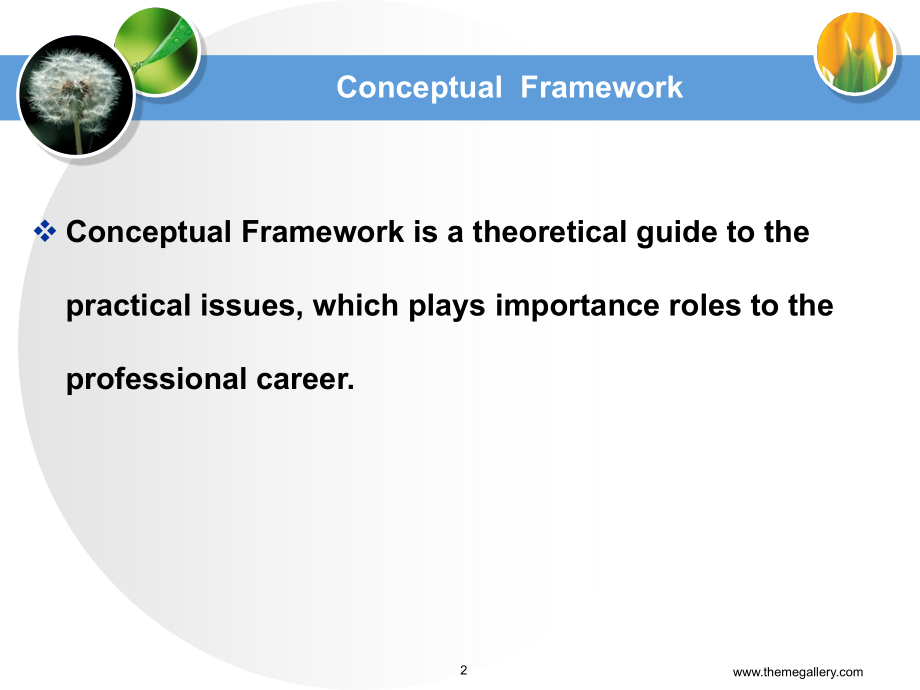 第二章-概念框架优秀PPT.ppt_第2页