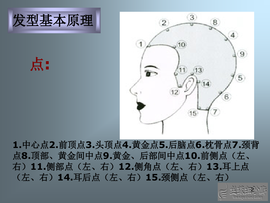 标榜四大基本型优秀课件.ppt_第2页