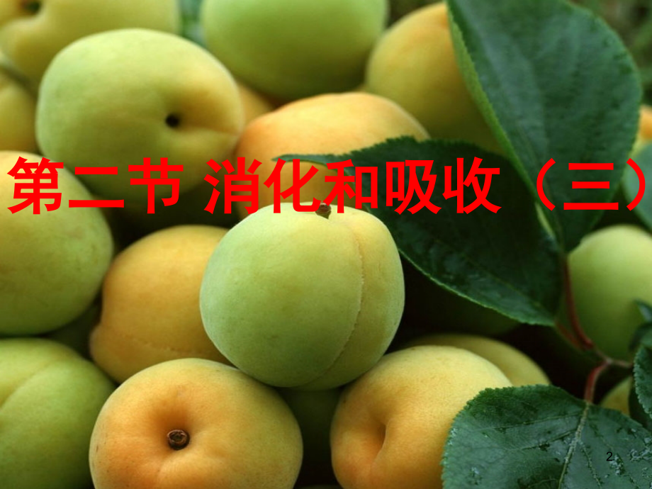 消化和吸收(课堂PPT).ppt_第2页