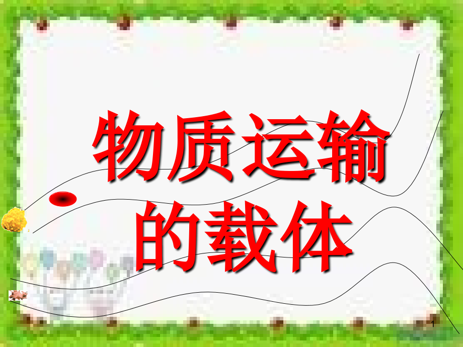 物质运输的载体.ppt_第1页