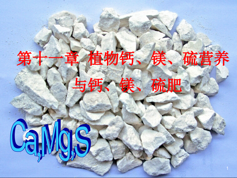 植物营养学-植物钙镁硫素营养与钙镁硫肥.ppt_第1页