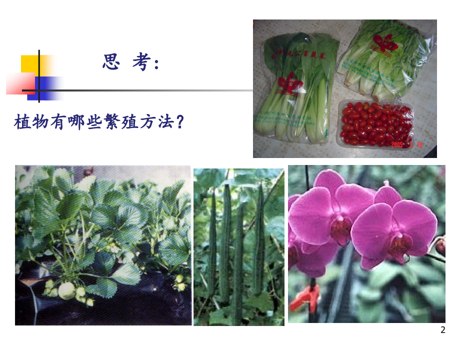 第五章--植物离体快速繁殖(课堂PPT).ppt_第2页