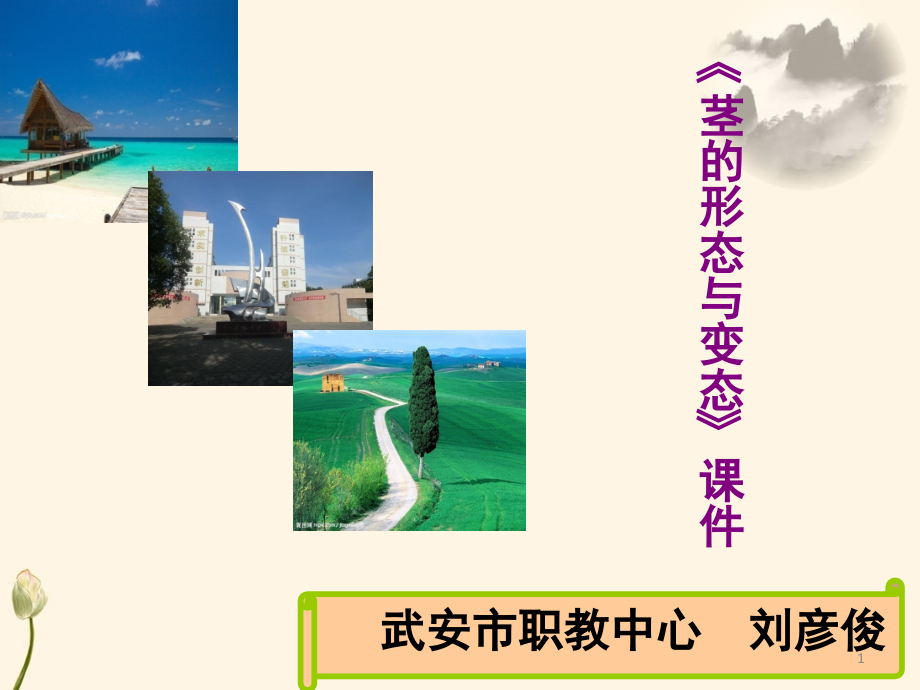茎的形态与变态.ppt_第1页