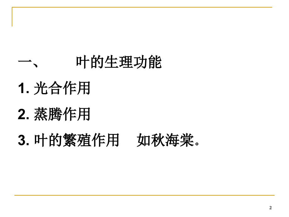植物叶的解剖结构.ppt_第2页