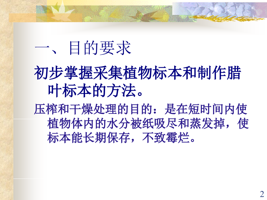 植物标本制作(全)课件PPT.ppt_第2页