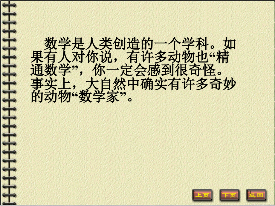 自然界中的数学大师.ppt_第1页