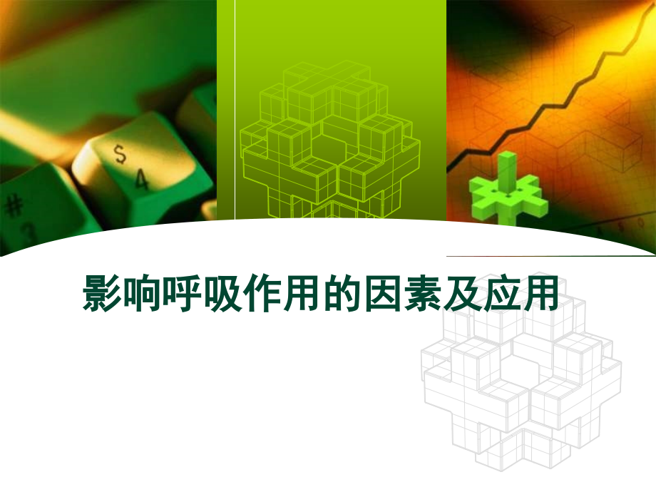 影响细胞呼吸的因素和应用(课堂PPT).ppt_第1页