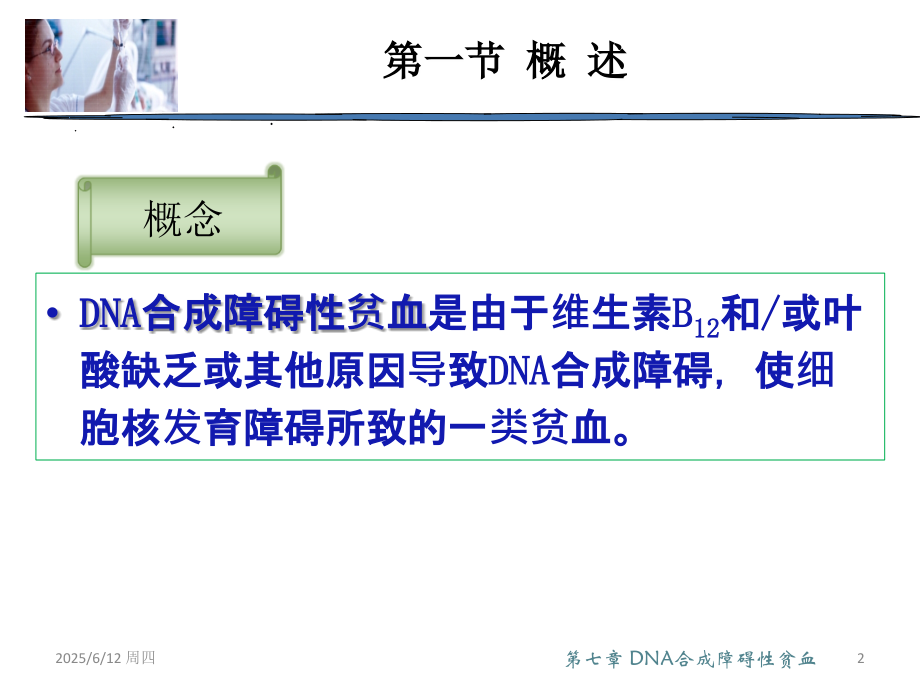 第七章-DNA合成障碍性贫血.ppt_第2页