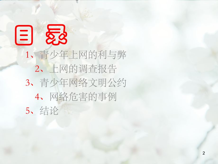 绿色上网-健康成长(课堂PPT).ppt_第2页