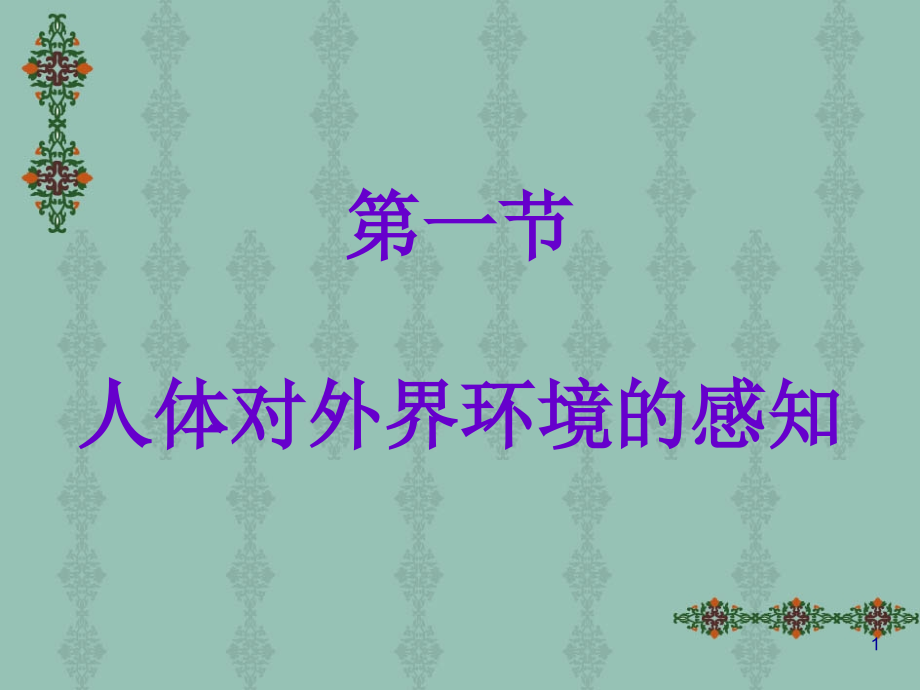 我们的视觉是怎样形成的.ppt_第1页