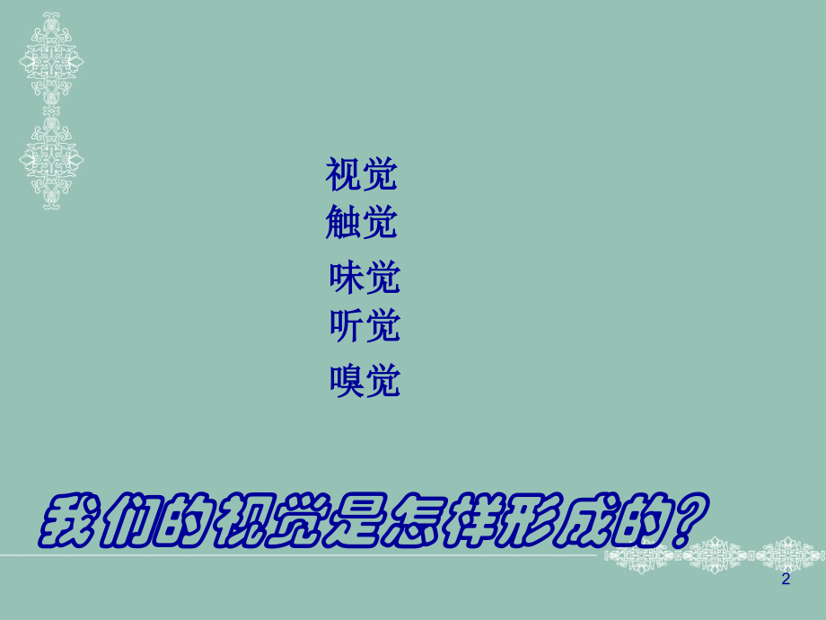 我们的视觉是怎样形成的.ppt_第2页