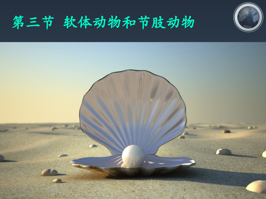 新人教版初中生物第五单元第一章第三节软体动物和节肢动物PPT参考课件.ppt_第1页